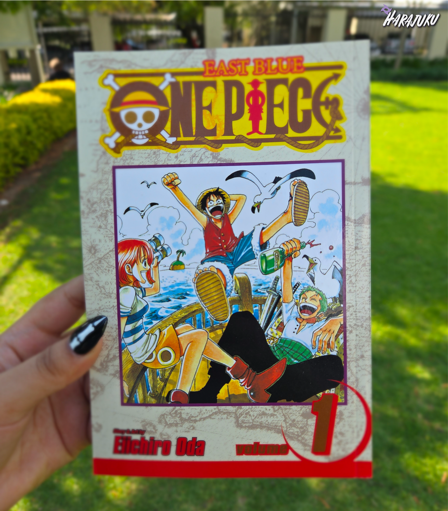 One Piece VOL 1 PB