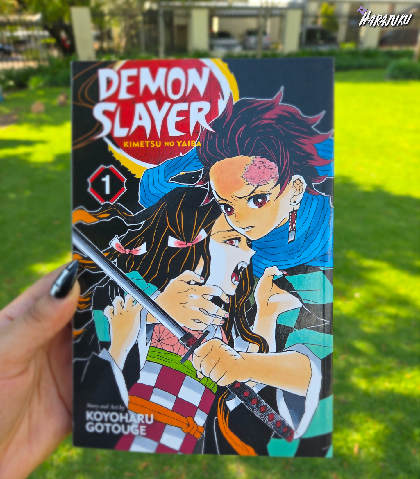 Demon Slayer VOL 1 PB
