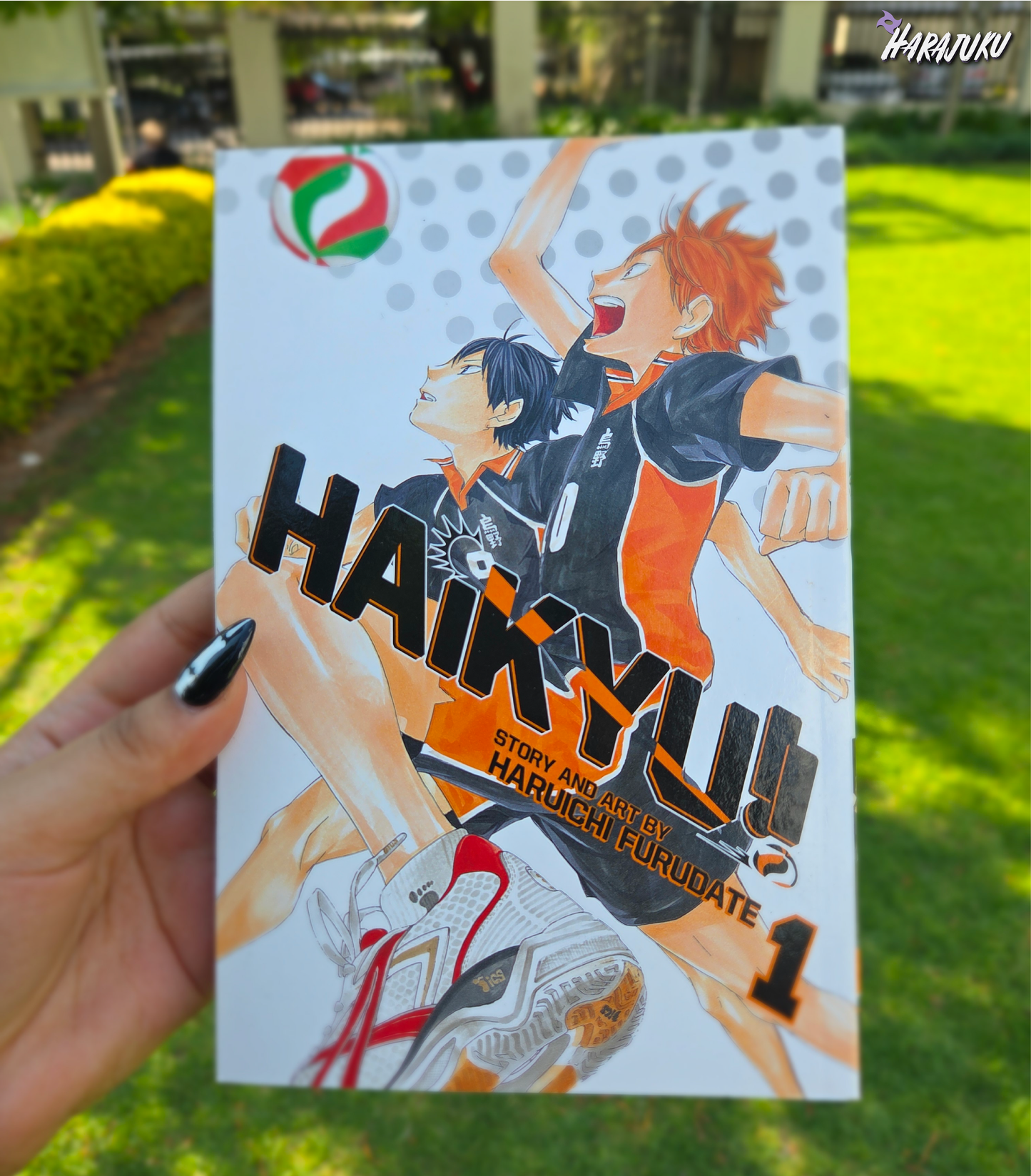 Haikyu VOL 1 PB