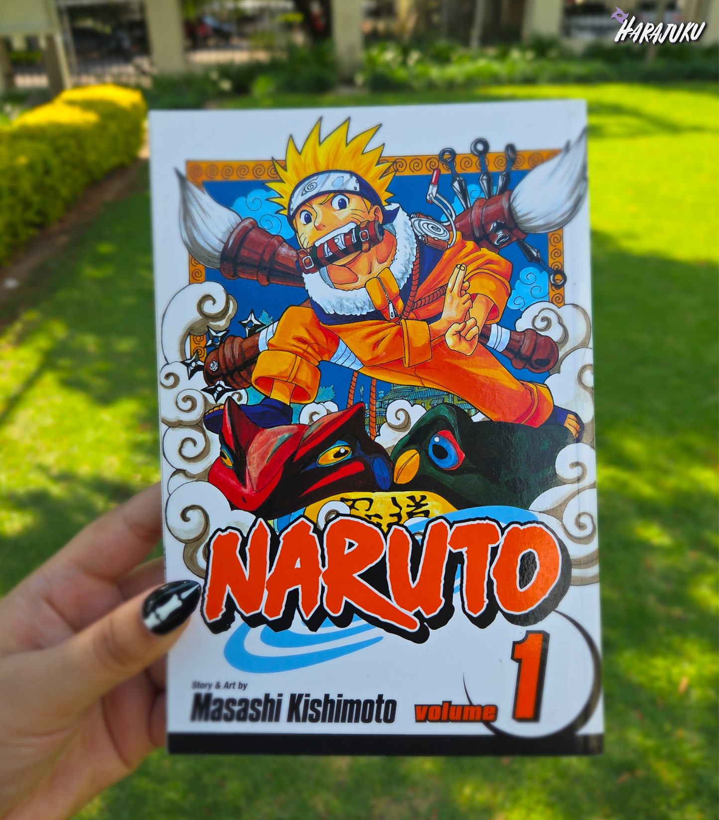 Naruto VOL 1 PB